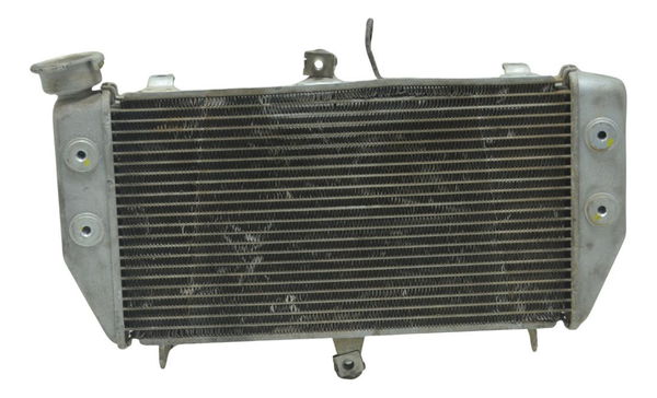 Radiador Yamaha Mt 03 16-19 Original