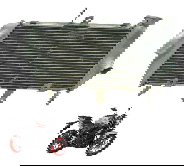 Radiador Yamaha Mt 03 16-19 Original