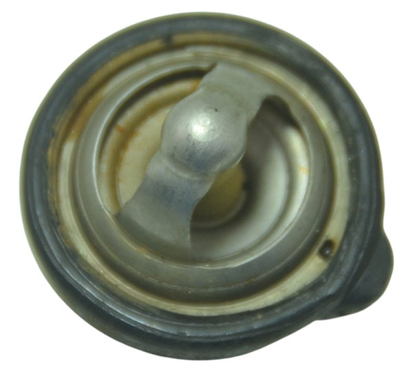 Válvula Termostática Yamaha Mt 03 16-19 Original