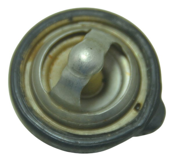 Válvula Termostática Yamaha Mt 03 16-19 Original