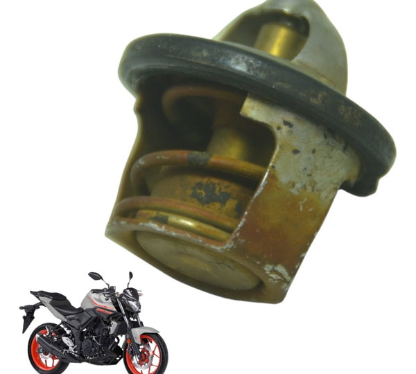 Válvula Termostática Yamaha Mt 03 16-19 Original