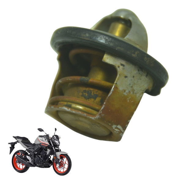 Válvula Termostática Yamaha Mt 03 16-19 Original