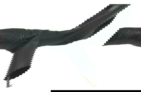 Chicote S/ Abs C/ Detalhes Yamaha Mt 03 16-19 Original