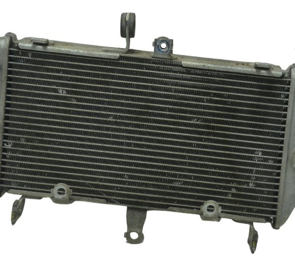 Radiador Yamaha Mt 03 16-19 Original