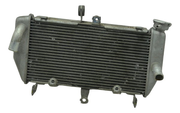 Radiador Yamaha Mt 03 16-19 Original