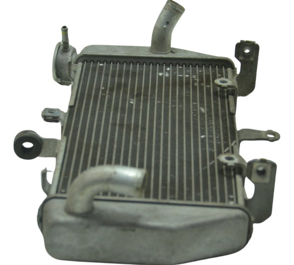 Radiador Yamaha Mt 03 16-19 Original