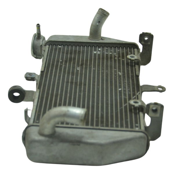 Radiador Yamaha Mt 03 16-19 Original