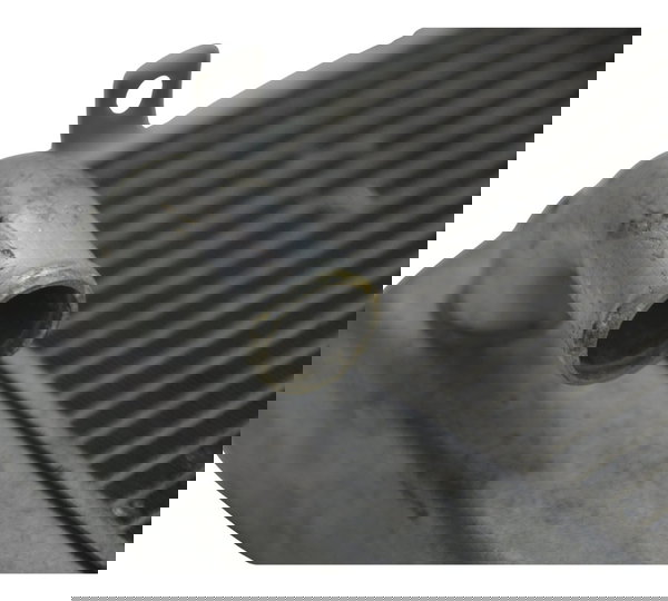 Radiador Yamaha Mt 03 16-19 Original