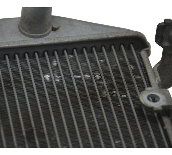 Radiador Yamaha Mt 03 16-19 Original