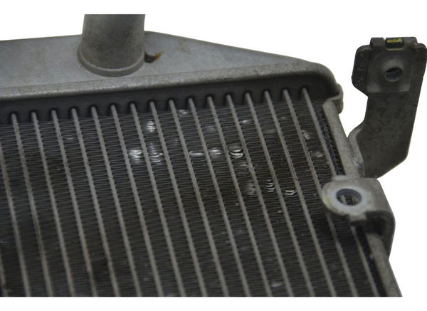 Radiador Yamaha Mt 03 16-19 Original