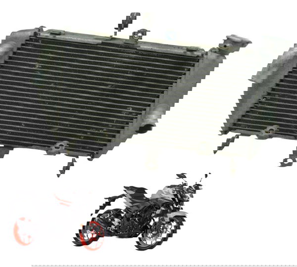 Radiador Yamaha Mt 03 16-19 Original