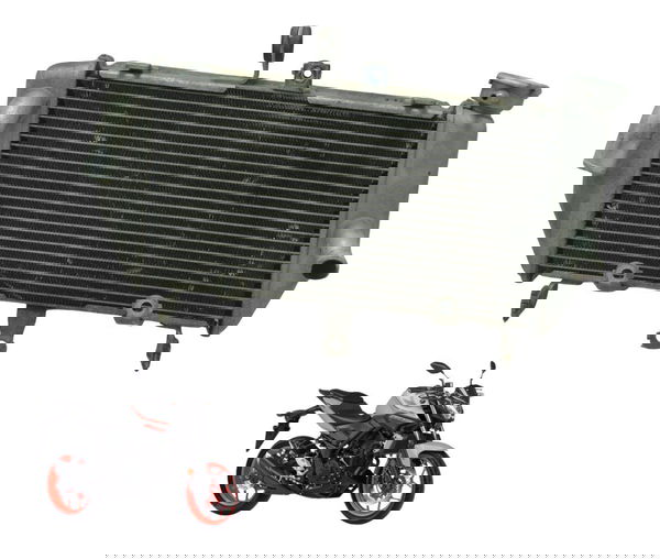 Radiador Yamaha Mt 03 16-19 Original