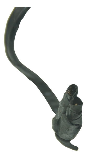 Kit Chave Ignição Paralelo Yamaha Mt 03 16-19