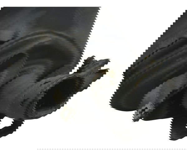 Ponteira Escape Yamaha Mt 03 16-19 Original