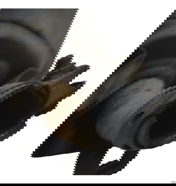 Ponteira Escape Yamaha Mt 03 16-19 Original Preto