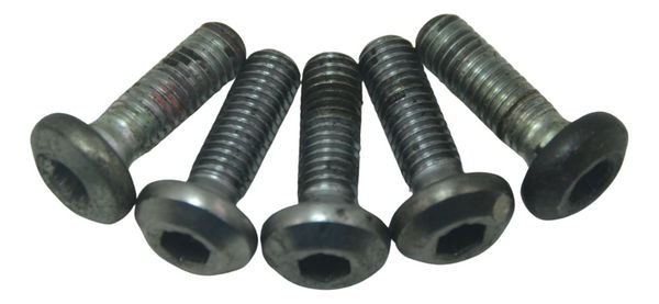 Kit Parafuso Disco Freio Yamaha Mt 03 16-19 Original