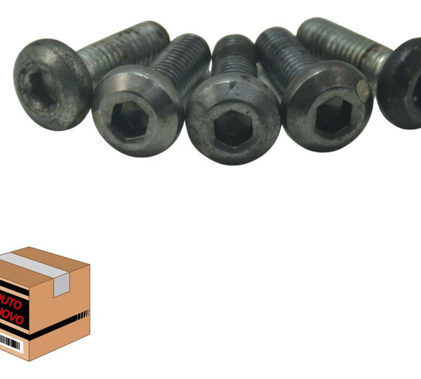 Kit Parafuso Disco Freio Yamaha Mt 03 16-19 Original