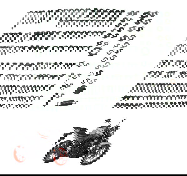 Kit Parafusos Diversos Yamaha Mt 03 16-19 Original