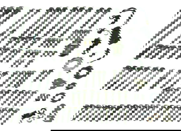 Kit Parafusos Diversos Yamaha Mt 03 16-19 Original