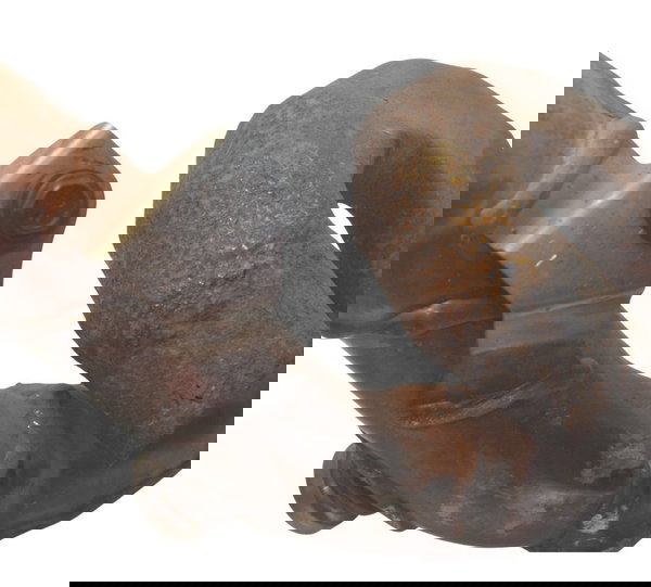 Curva Escape C/ Avaria Honda Cb 600f Hornet 08-11 Original