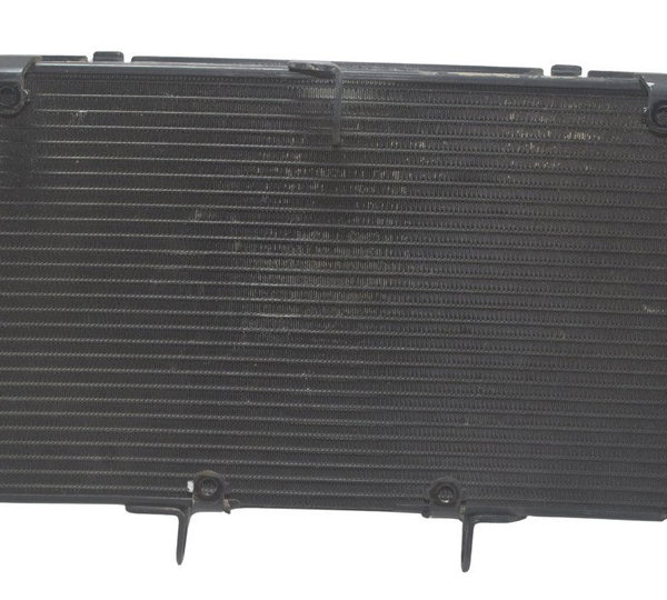 Radiador Honda Cb 600f Hornet 08-11 Original