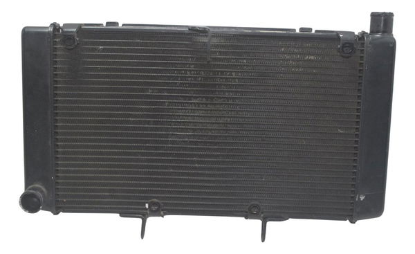Radiador Honda Cb 600f Hornet 08-11 Original
