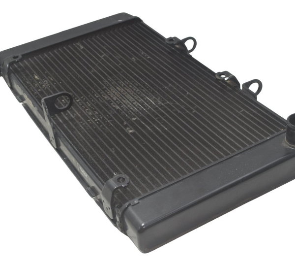 Radiador Honda Cb 600f Hornet 08-11 Original