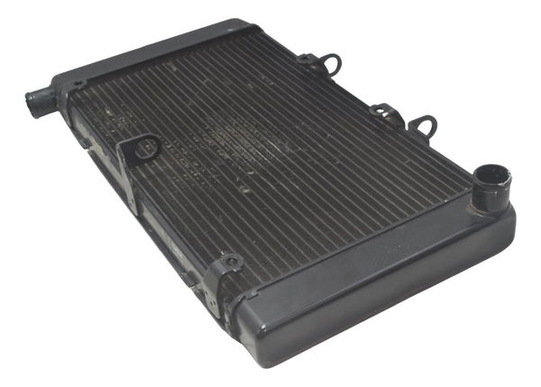 Radiador Honda Cb 600f Hornet 08-11 Original