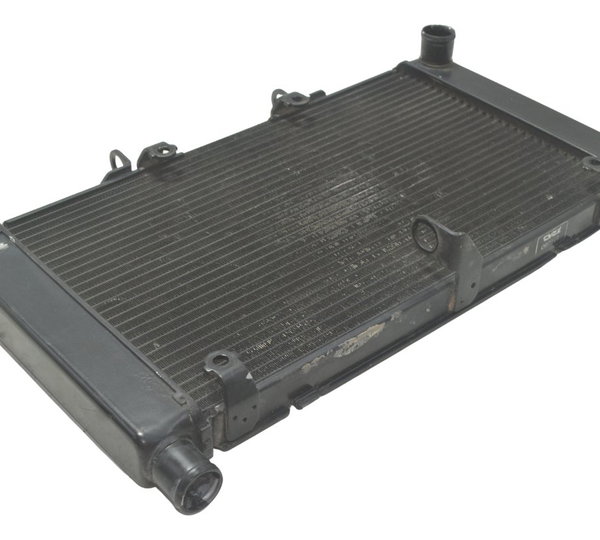 Radiador Honda Cb 600f Hornet 08-11 Original