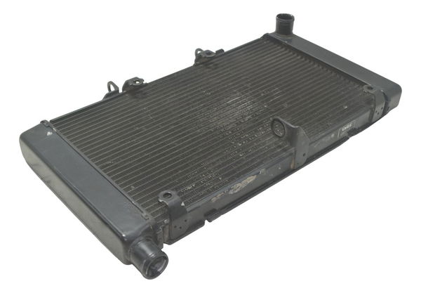 Radiador Honda Cb 600f Hornet 08-11 Original