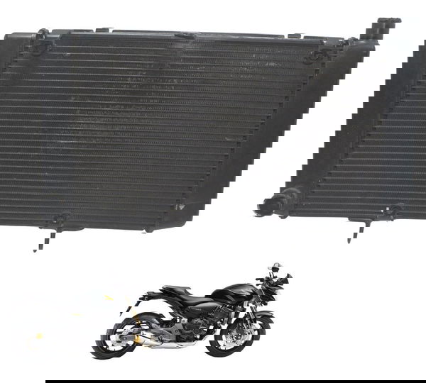 Radiador Honda Cb 600f Hornet 08-11 Original