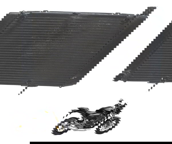Radiador Honda Cb 600f Hornet 08-11 Original