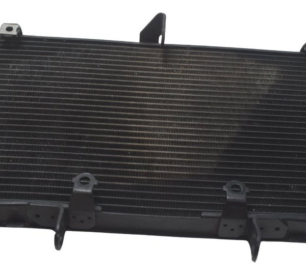 Radiador C/ Detalhes Honda Cb 600f Hornet 08-11 Original