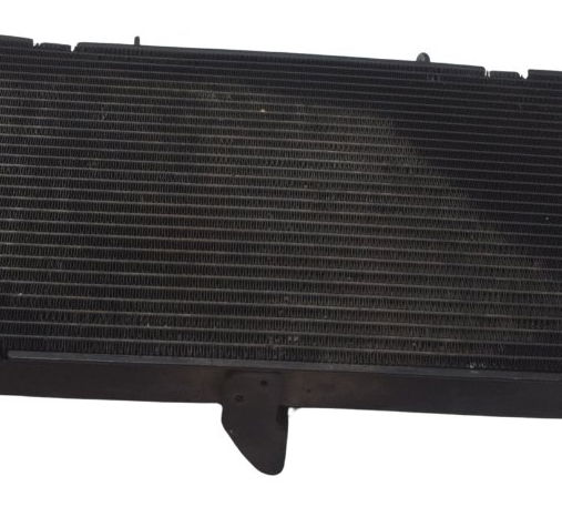 Radiador C/ Detalhes Honda Cb 600f Hornet 08-11 Original