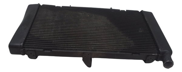 Radiador C/ Detalhes Honda Cb 600f Hornet 08-11 Original