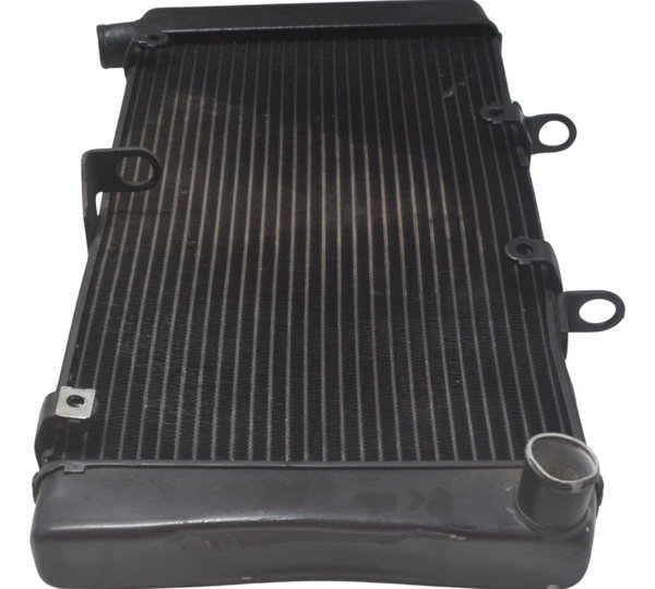 Radiador C/ Detalhes Honda Cb 600f Hornet 08-11 Original