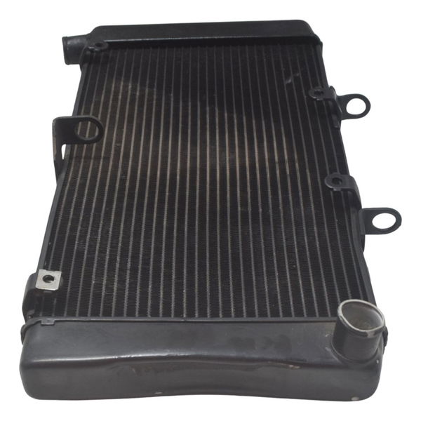 Radiador C/ Detalhes Honda Cb 600f Hornet 08-11 Original