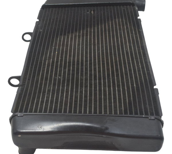 Radiador C/ Detalhes Honda Cb 600f Hornet 08-11 Original