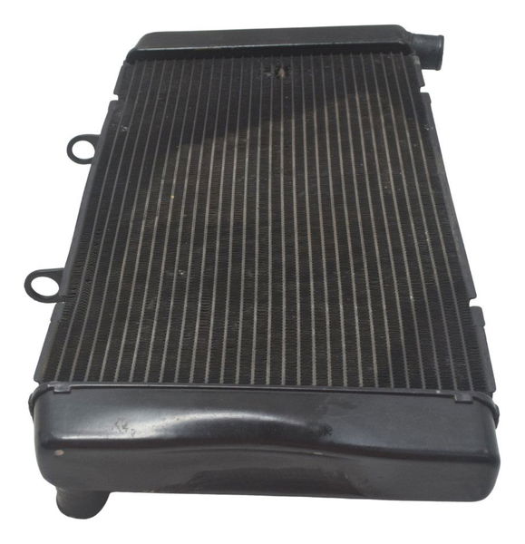 Radiador C/ Detalhes Honda Cb 600f Hornet 08-11 Original