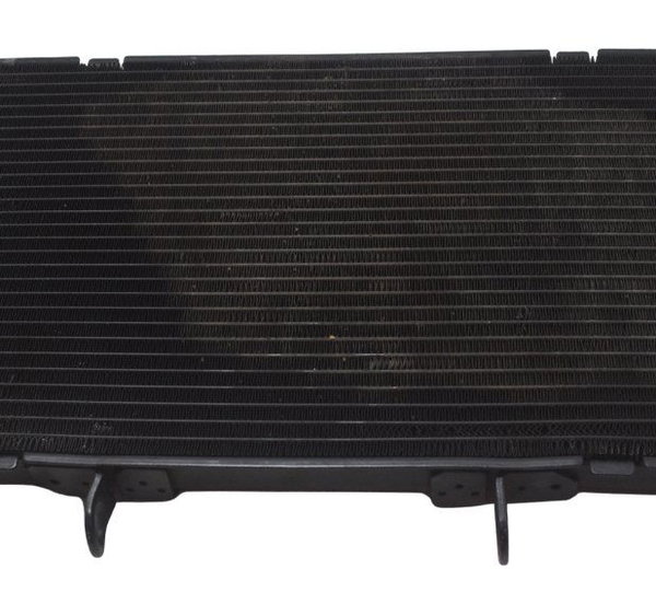 Radiador C/ Detalhes Honda Cb 600f Hornet 08-11 Original