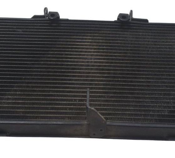 Radiador C/ Detalhes Honda Cb 600f Hornet 08-11 Original