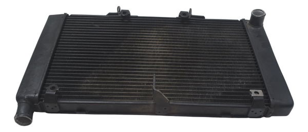 Radiador C/ Detalhes Honda Cb 600f Hornet 08-11 Original