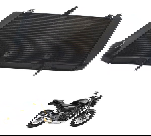 Radiador C/ Detalhes Honda Cb 600f Hornet 08-11 Original