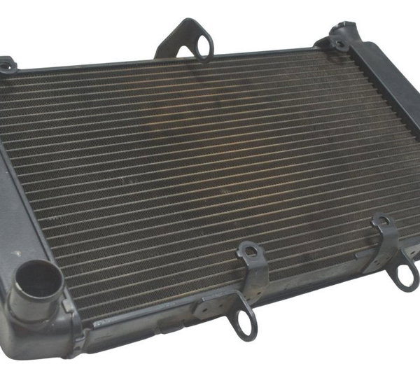 Radiador C/ Avaria Honda Cb 600f Hornet 08-11 Original