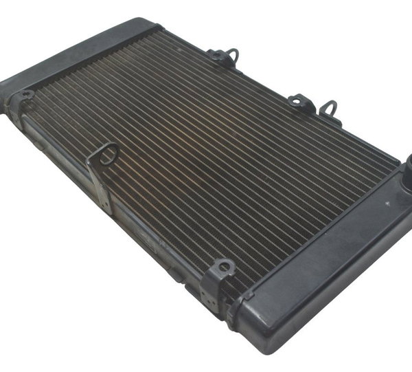 Radiador C/ Avaria Honda Cb 600f Hornet 08-11 Original