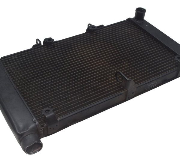 Radiador C/ Avaria Honda Cb 600f Hornet 08-11 Original