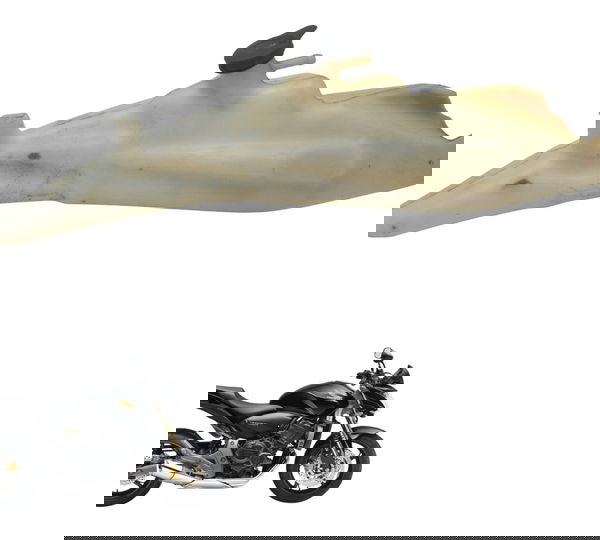 Reservatório Água Honda Cb 600f Hornet 08-11 Original