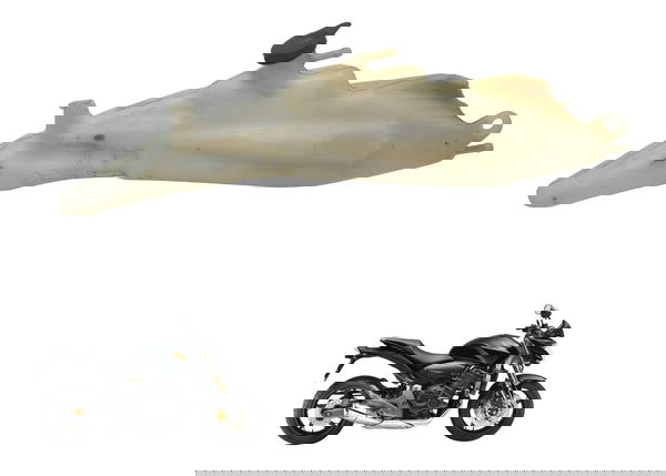 Reservatório Água Honda Cb 600f Hornet 08-11 Original