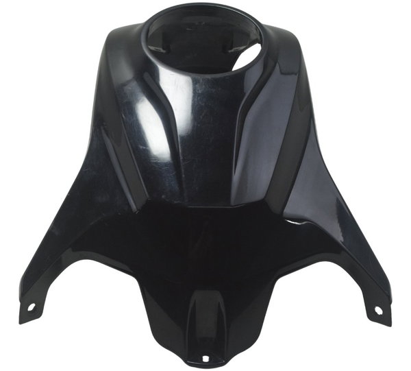 Capa Central Tanque Bmw G310 Gs 20-24 Original