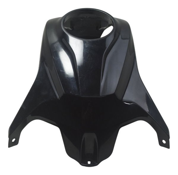 Capa Central Tanque Bmw G310 Gs 20-24 Original